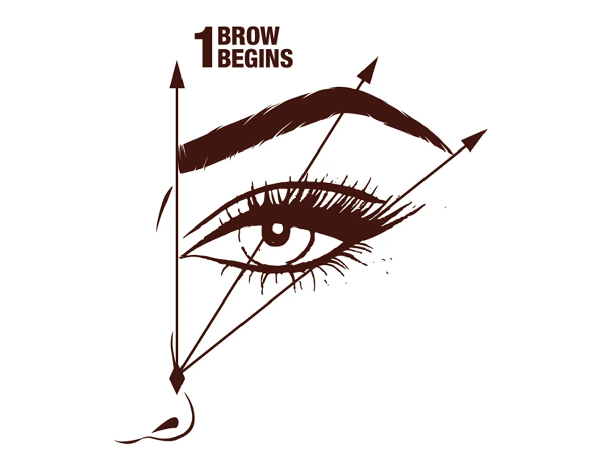 Charlotte's diagram explaining how to begin defining your eyebrow shape