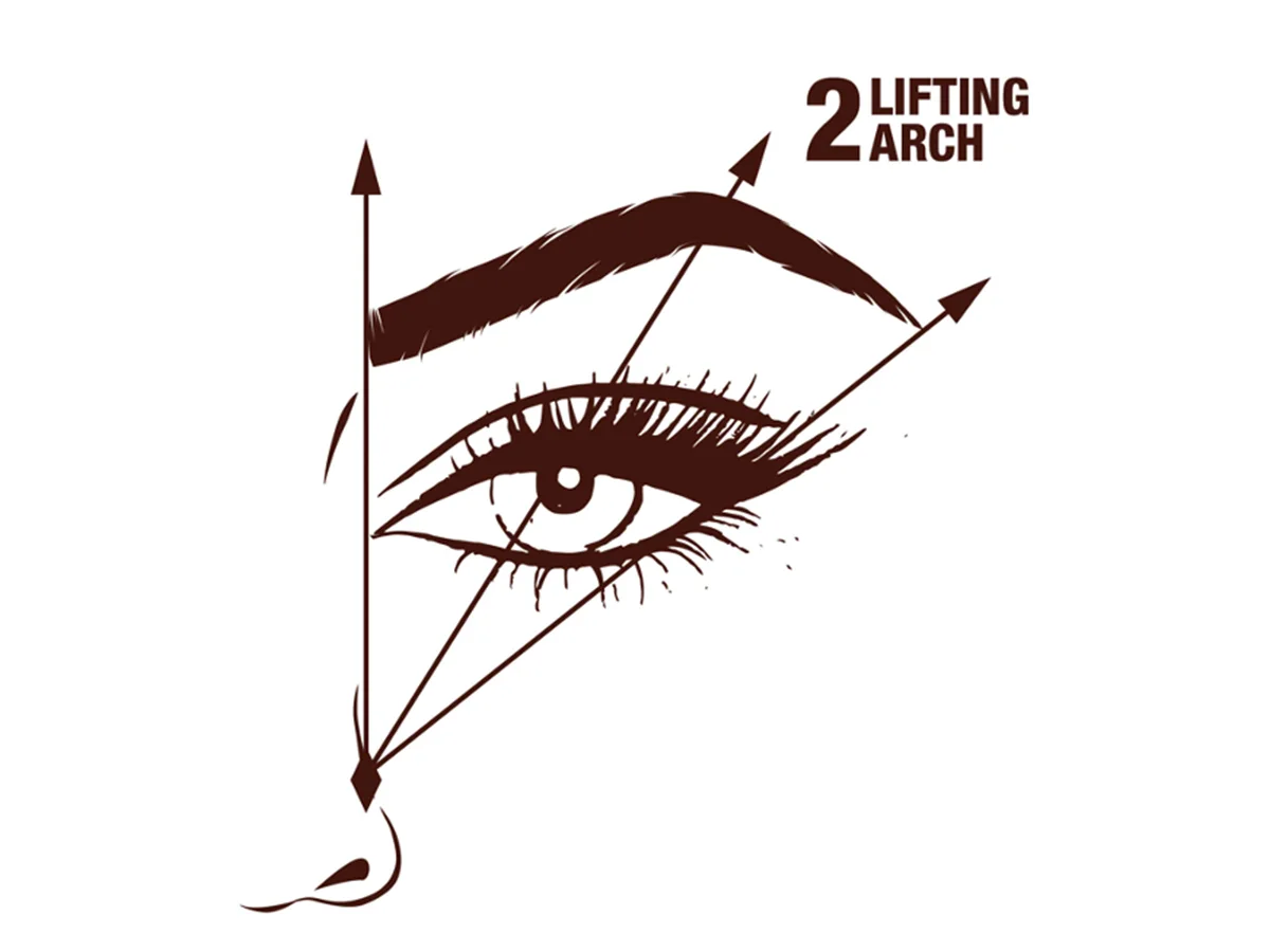 Charlotte's diagram explaining how to create a defined arch for your eyebrow